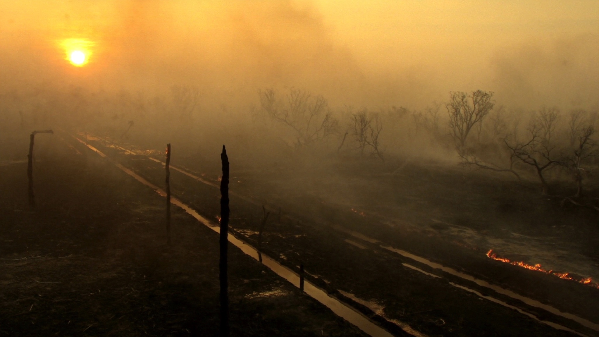 Aerial view at dusk of drained tropical peatland in Kalimantan: a straight drainage canal cutting through burnt peat swamp, skeletal dead trees, a line of ground fire and heavy smoke haze diffusing the low sun.